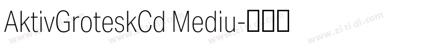 AktivGroteskCd Mediu字体转换